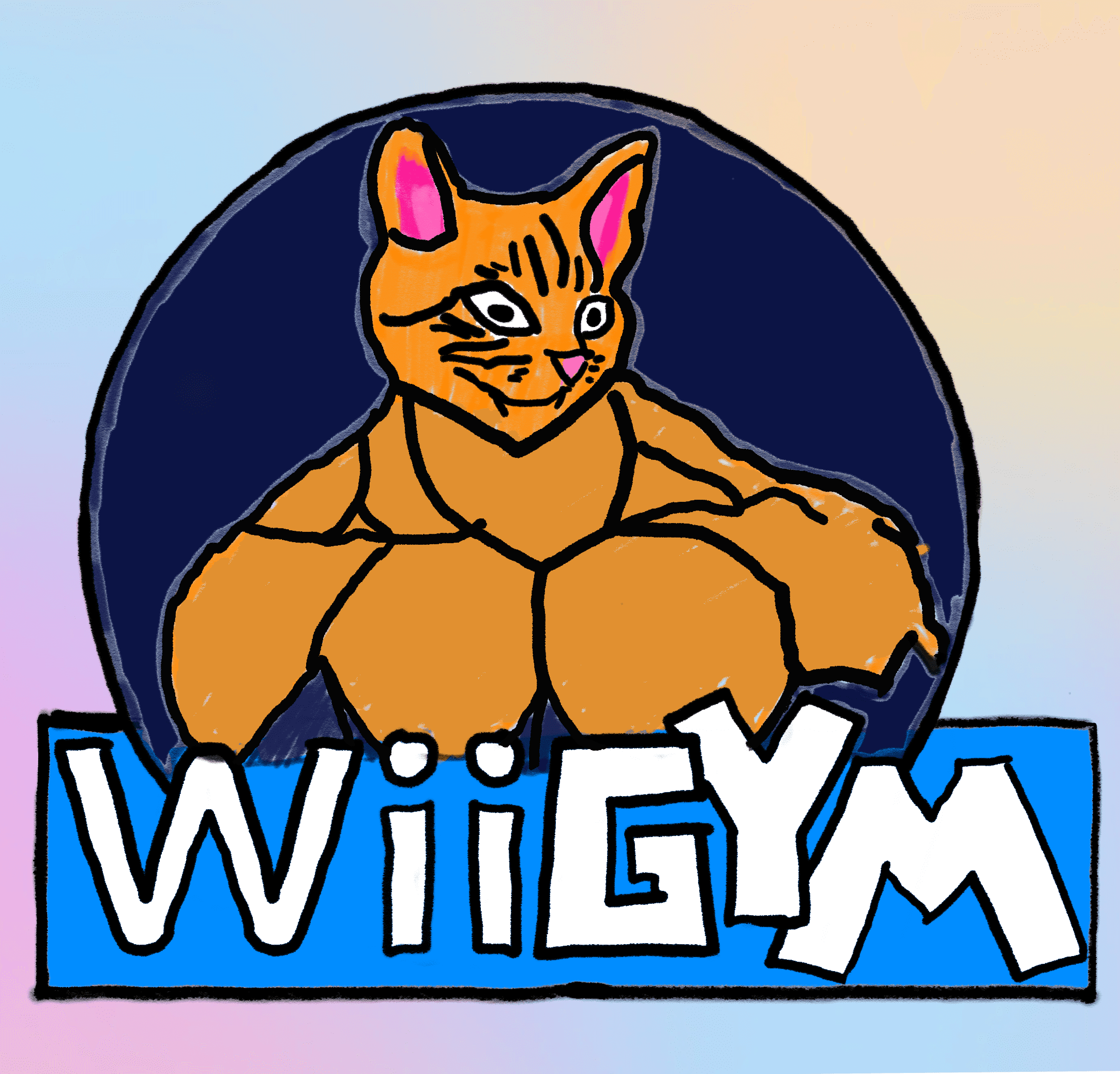 WiiGym